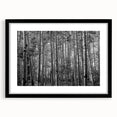 Extra large abstract art print of Colorado's Telluride landscape, featuring vibrant.