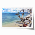 Extra large rolled canvas print depicting vibrant floral scenery of Oahu, Hawaii, ideal for art wall dining room.