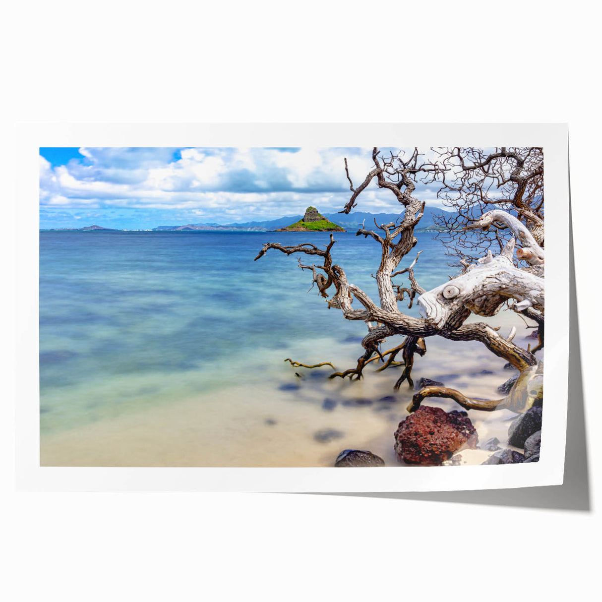 Extra large rolled canvas print depicting vibrant floral scenery of Oahu, Hawaii, ideal for art wall dining room.