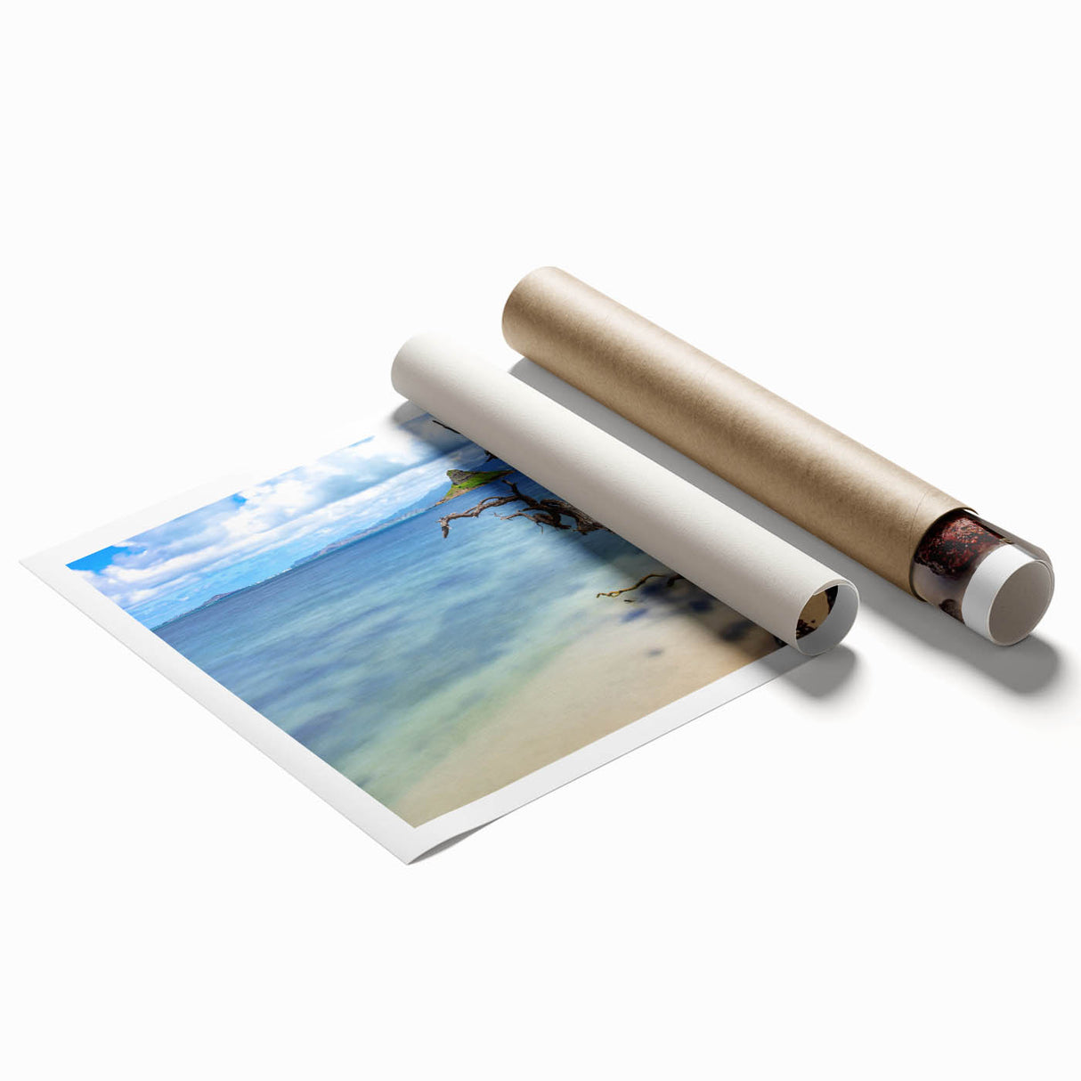 Extra large rolled print of Oahu, Hawaii, with vibrant floral elements in soft pastel shades.