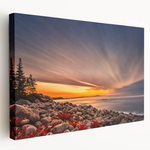Acadia National Park landscape on large stretched canvas, featuring muted earth tones, ideal for kitchen wall art.