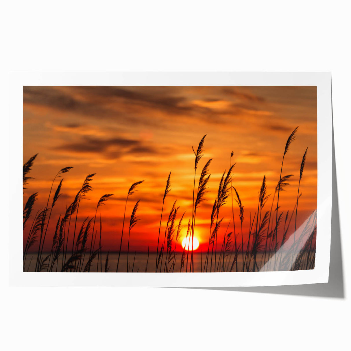 Extra large rolled print of Chesapeake Bay with vibrant blues and greens, ideal for classy bathroom wall art.