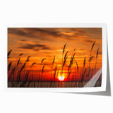 Extra large rolled print of Chesapeake Bay with vibrant blues and greens, ideal for classy bathroom wall art.