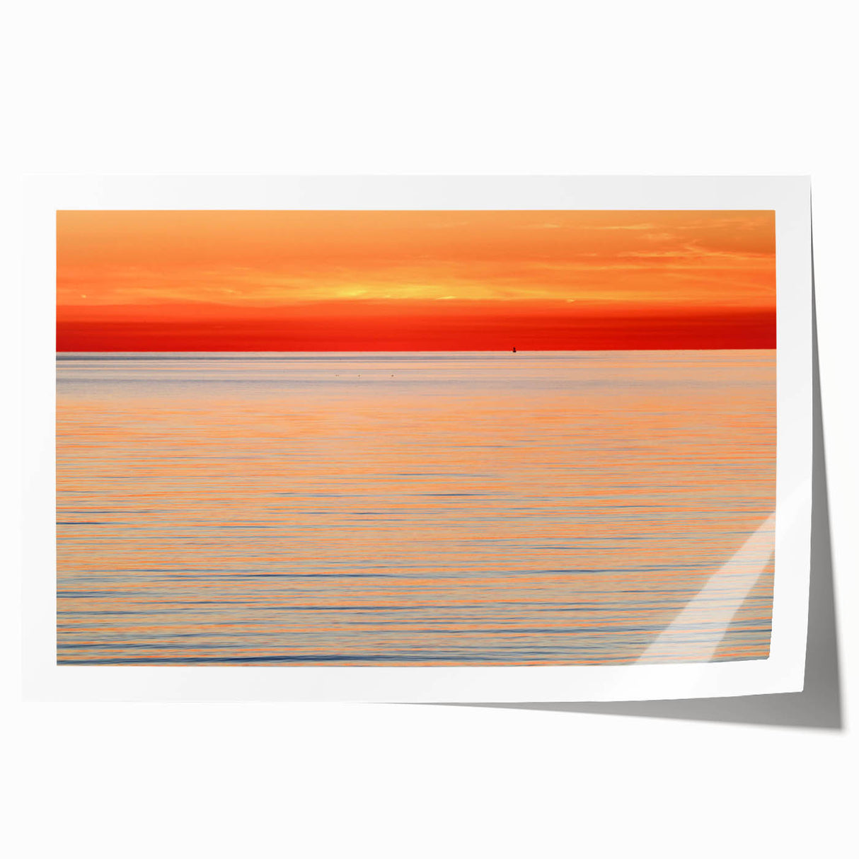 Extra large rolled print of a Massachusetts Nantucket scenery with vibrant floral elements, ideal for art wall dining room.