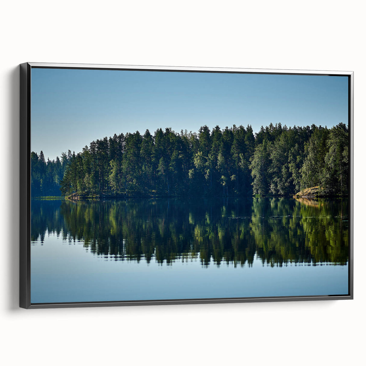 Black and white landscape art painting of Mississippi scenery on framed canvas, suitable for bedroom wall decor.