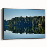 Black and white landscape art painting of Mississippi scenery on framed canvas, suitable for bedroom wall decor.