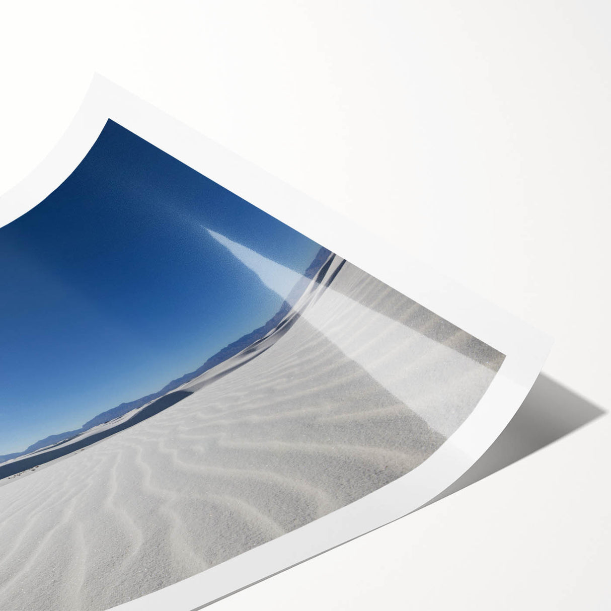 Extra large wall art featuring line art flowers in a minimalist style, set against a backdrop of White Sands, New Mexico.