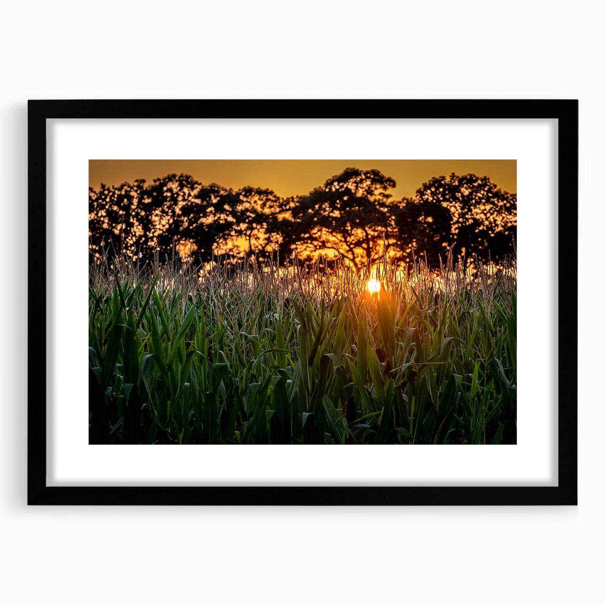 Extra large abstract art print of Raleigh, featuring textured, colorful art in vibrant hues, framed with a black mat.