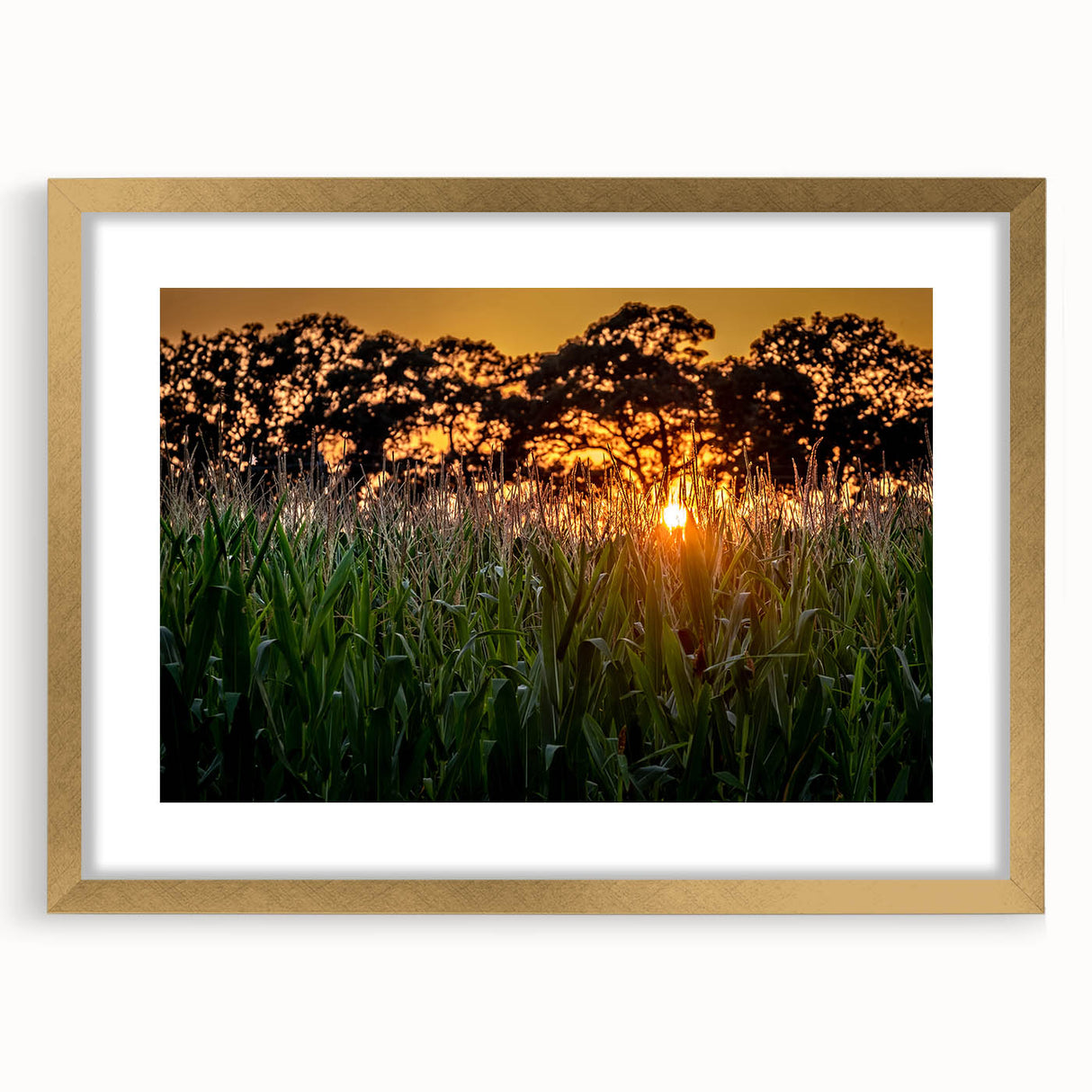 Extra large abstract art print of Raleigh skyline in textured gold frame, suited for living room decor.