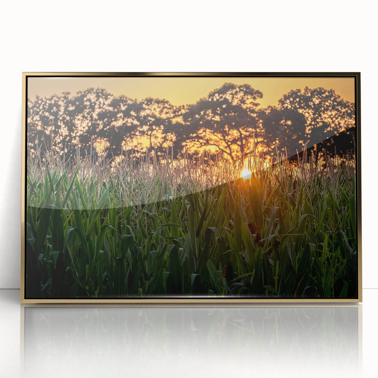 Acrylic print of Raleigh, North Carolina skyline in gold and black, ideal for modern art wall decor.