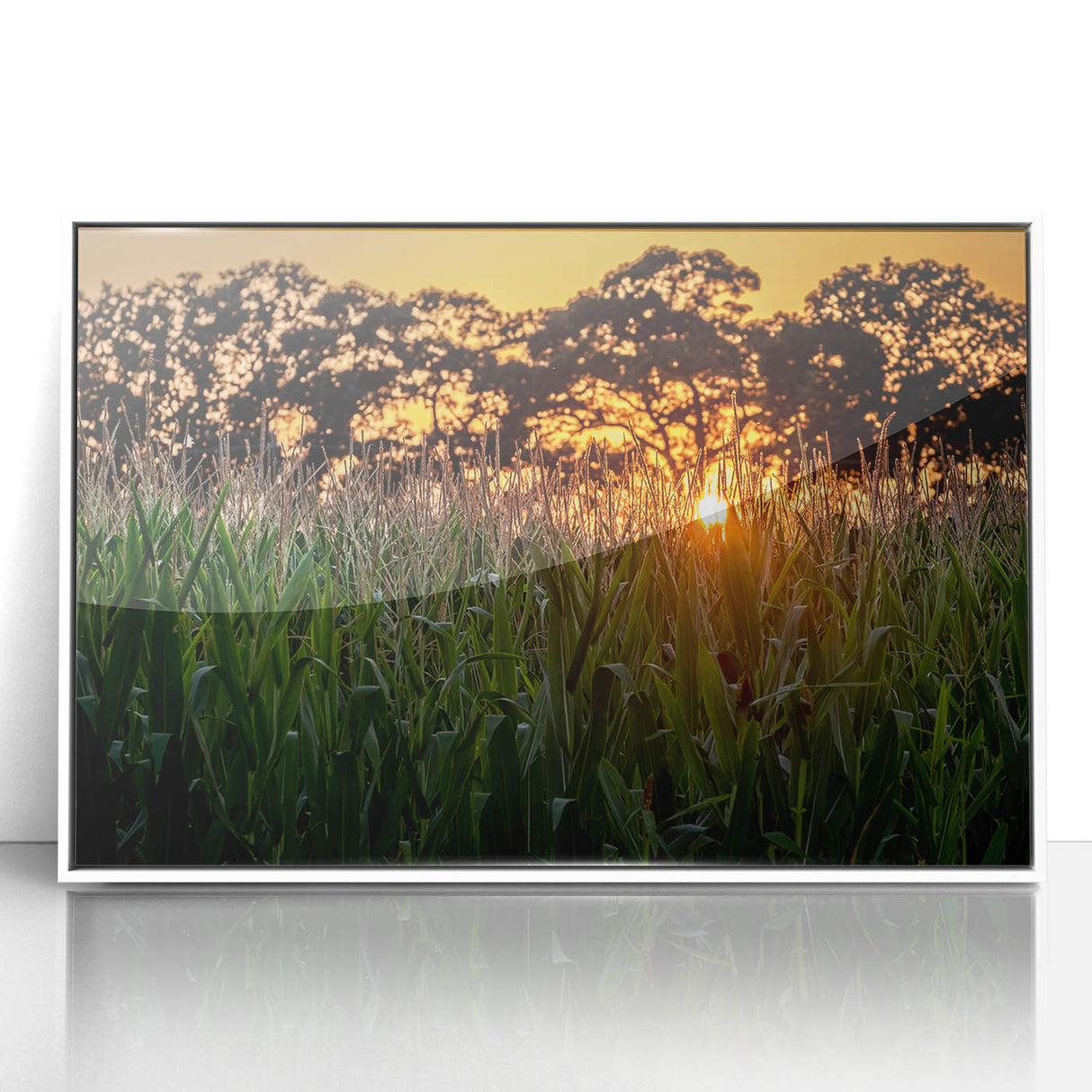 Modern art wall decor featuring a Raleigh, North Carolina skyline in muted gray tones on a white framed acrylic print.