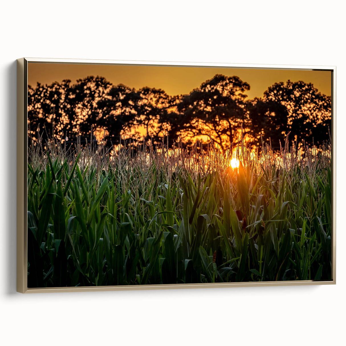 Framed canvas of a vintage-style Raleigh, North Carolina landscape in muted gold and black, ideal for bedroom wall art.