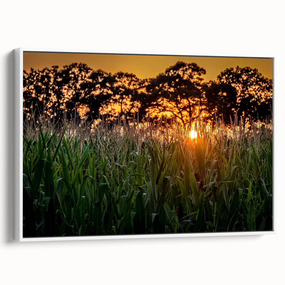 Vintage poster art of Raleigh, North Carolina skyline in colorful hues on a framed canvas, ideal for living room decor.