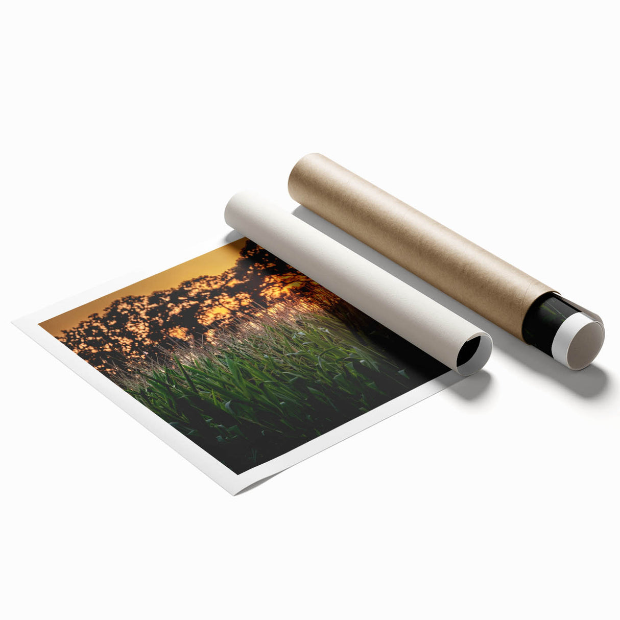 Extra large rolled print of Raleigh, North Carolina skyline with floral accents in soft pastel colors.