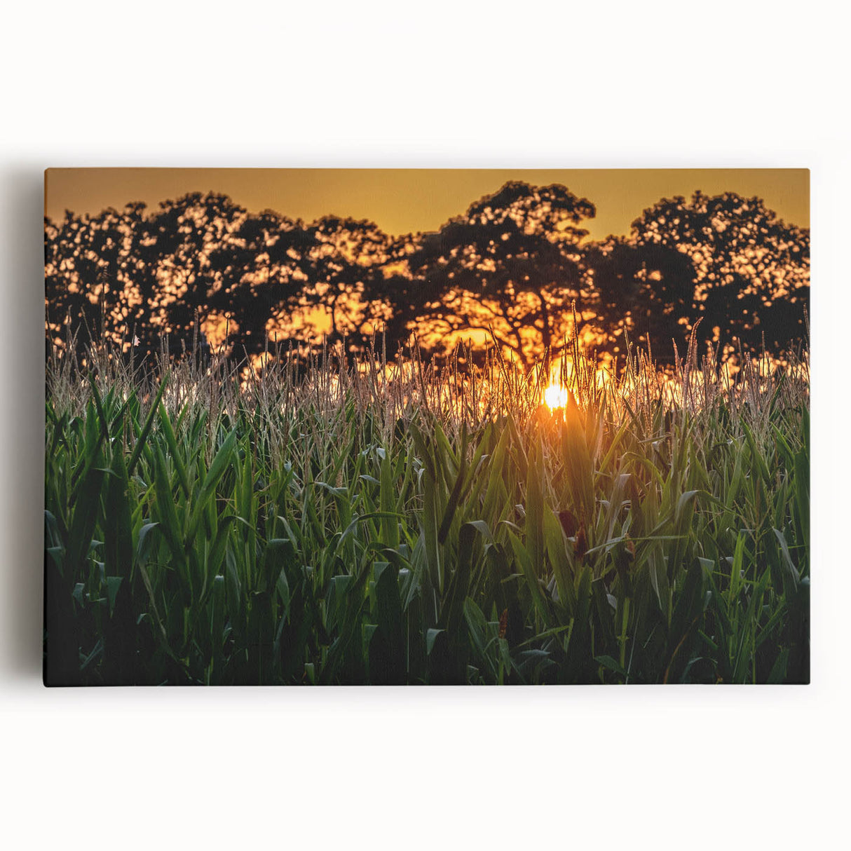 Black and white large art print of Raleigh skyline on stretched canvas, ideal for kitchen wall art.