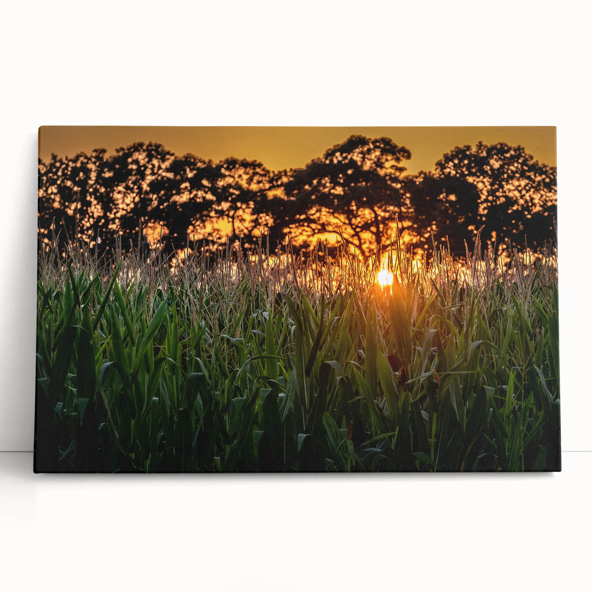 Black and white large art canvas of Raleigh skyline, ideal for kitchen wall art or bedroom decor.