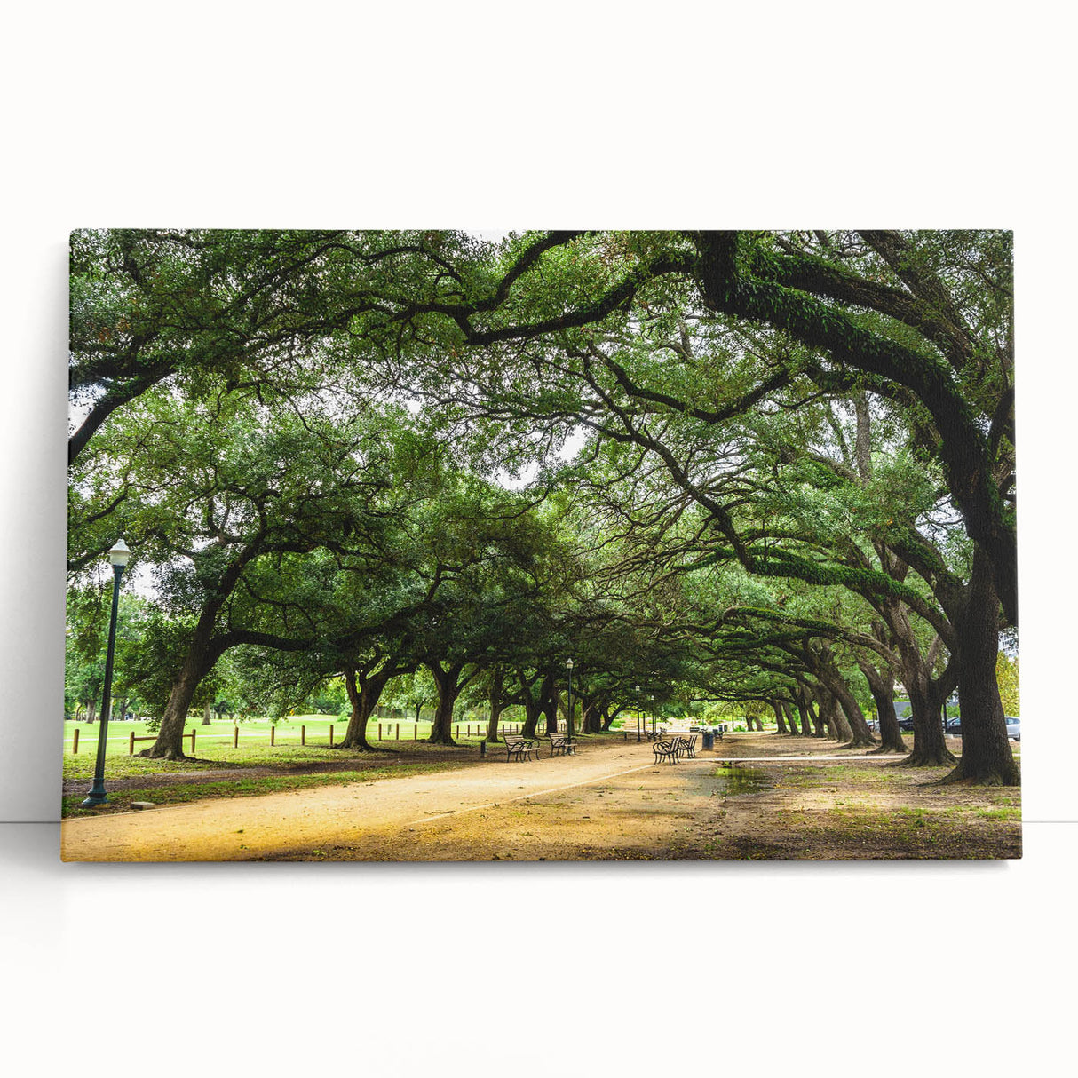Houston skyline in black and white on a large stretched canvas, ideal for kitchen wall art or bedroom decor.