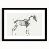 Modern Wall Art – Anatomical Art of Horse Skeleton
