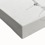 Modern Wall Art – Anatomical Art of Horse Skeleton