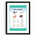 Arctic Animals Kids Educational Wall Art - Learning Print