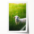 Extra large rolled canvas print featuring vibrant spring floral art, ideal for dining room or bathroom wall decor.