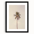 Extra large canvas featuring textured abstract art prints in colorful, vibrant hues, ideal for living room decor.