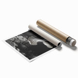 Extra large rolled print featuring close-up of natural elements and floral art in muted earth tones.