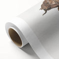 Terrapin Realism Art Print - Flat-Backed and Spinose Terrapins Zoology Art