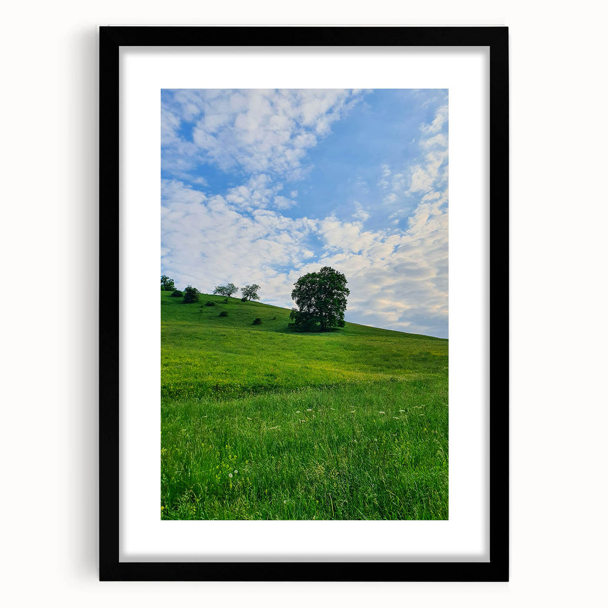 Extra large abstract art print featuring colorful, textured swirls on a black framed canvas, ideal for living room decor.