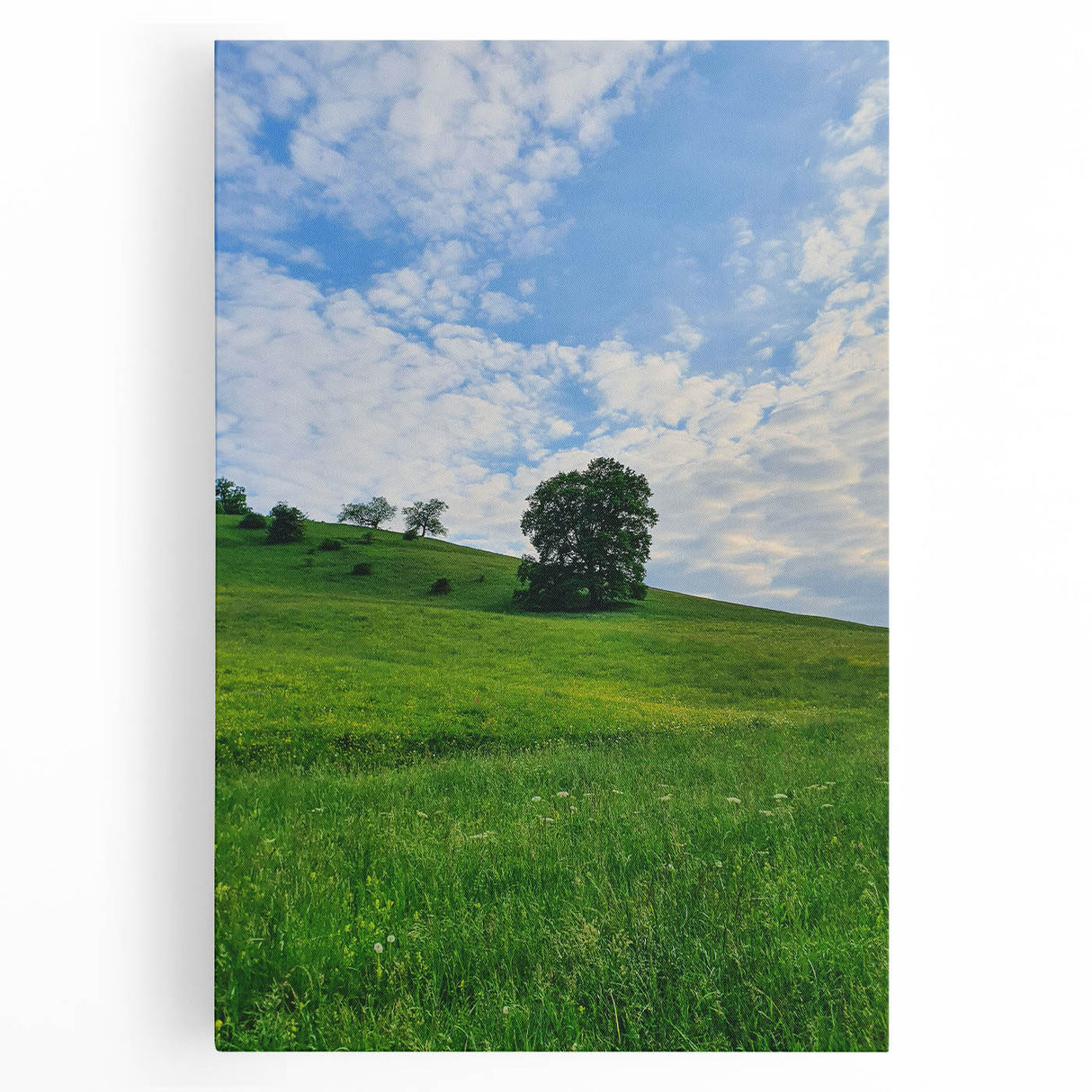 Black and white abstract depiction of spring on large stretched canvas, ideal for kitchen wall art.