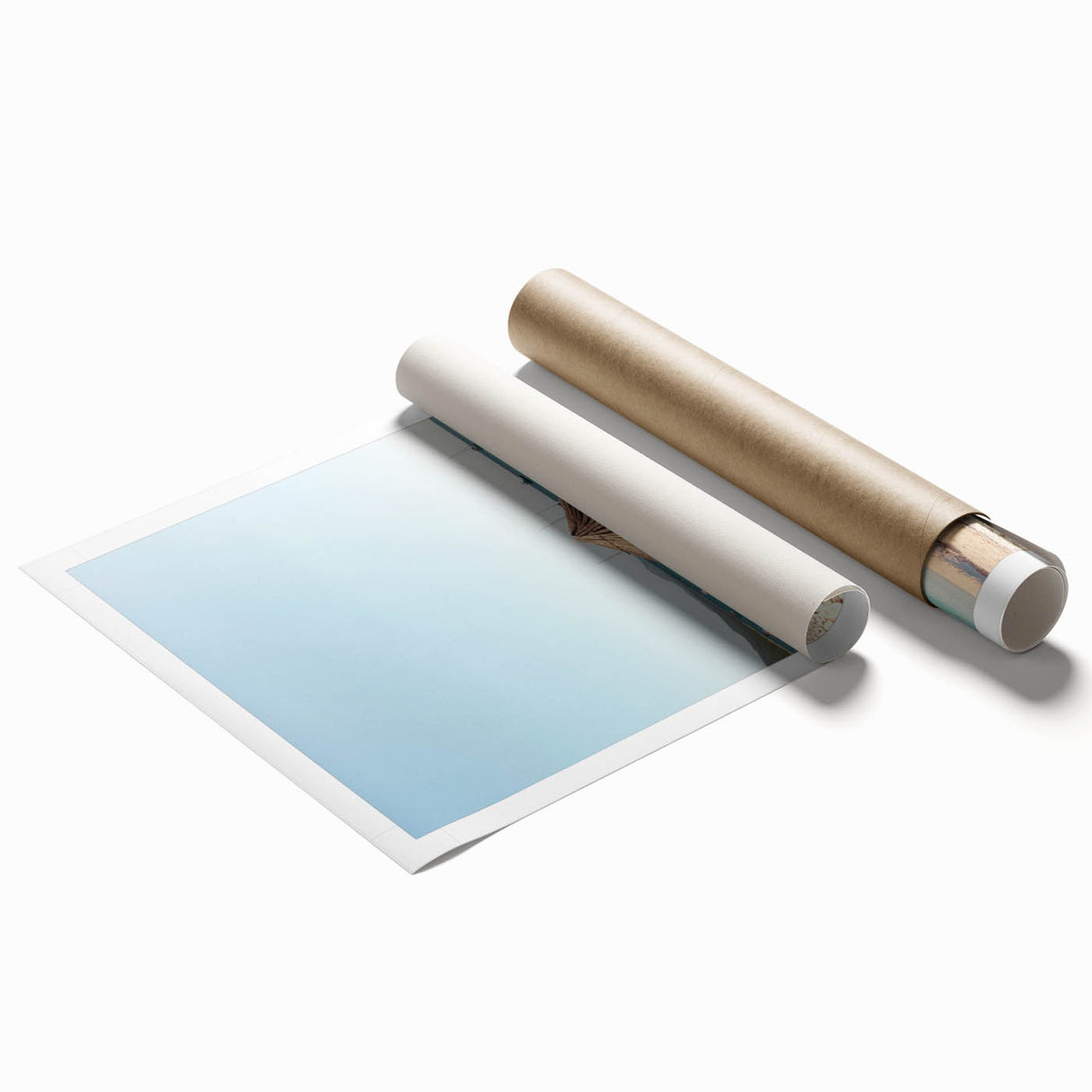 Extra large rolled print featuring a vibrant floral design in summer hues, ideal for classy bathroom wall art.