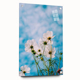 Large abstract wall art on acrylic glass featuring swirling spring hues, ideal for bedroom or dining room decor.