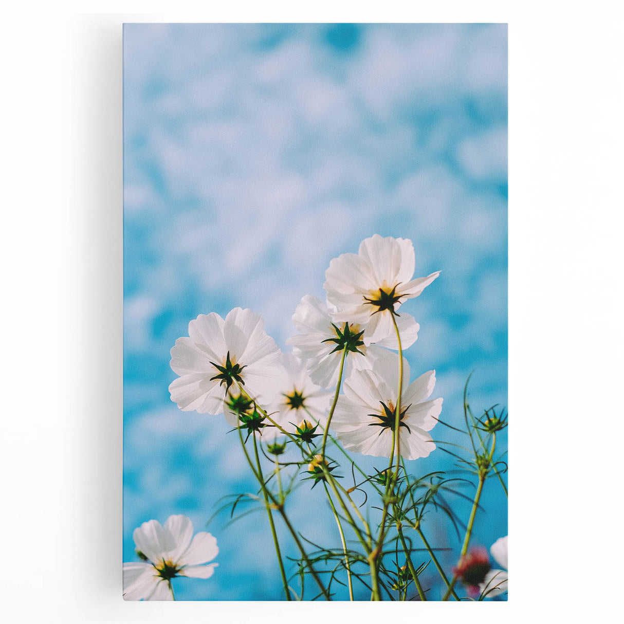 Black and white abstract floral design on large stretched canvas, suitable for kitchen wall art.