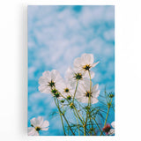 Black and white abstract floral design on large stretched canvas, suitable for kitchen wall art.