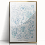 Modern Marine-Inspired Wall Art – Abstract Ctenophore Design