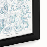 Modern Marine-Inspired Wall Art – Abstract Ctenophore Design