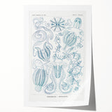 Modern Marine-Inspired Wall Art – Abstract Ctenophore Design