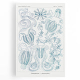 Modern Marine-Inspired Wall Art – Abstract Ctenophore Design