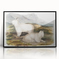 Romanticism Art - Rocky Mountain Goat Print by Audubon