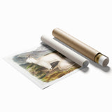 Romanticism Art - Rocky Mountain Goat Print by Audubon