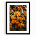 Extra large textured abstract art print featuring vibrant autumnal hues on a framed black mat, ideal for living room decor.