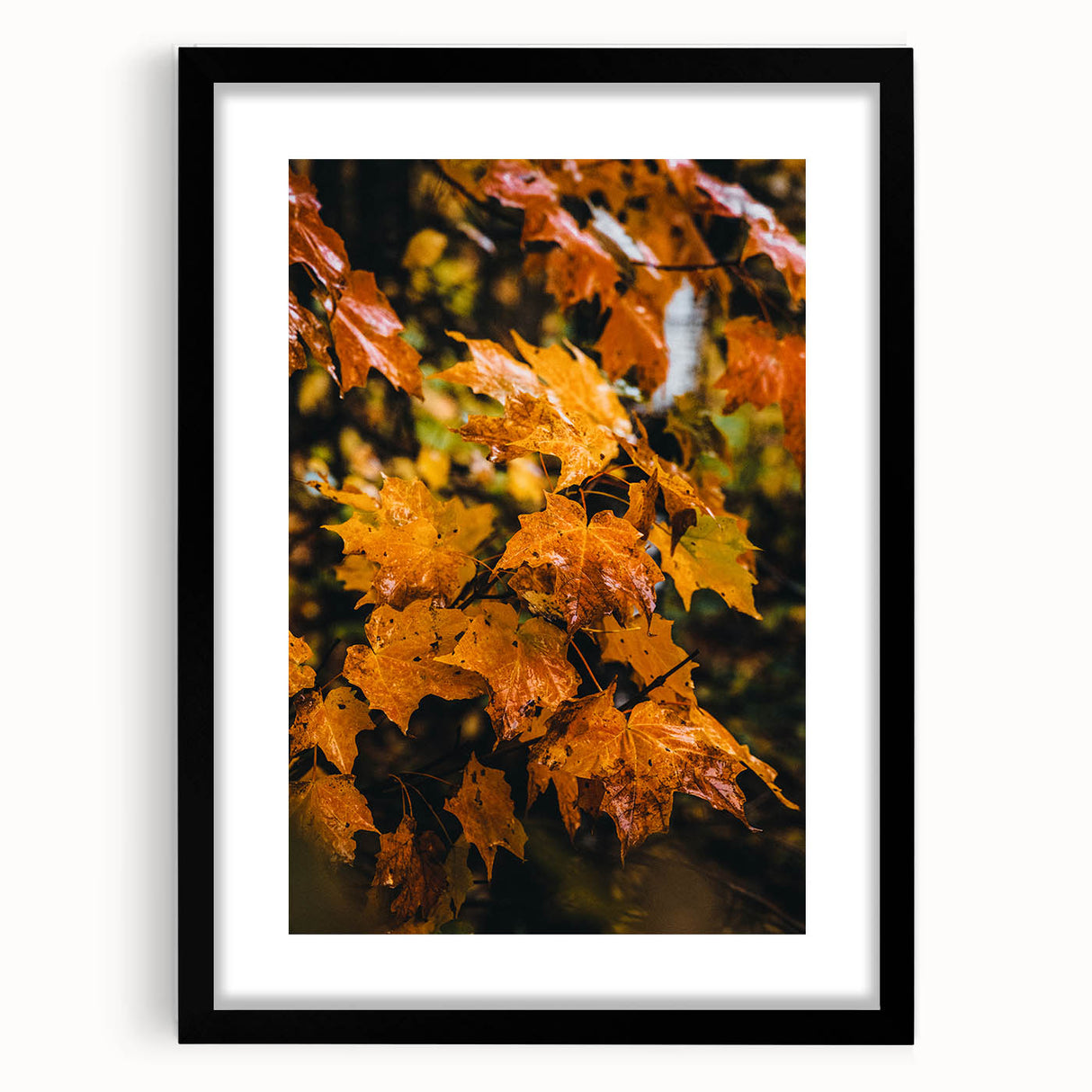 Extra large textured abstract art print featuring vibrant autumnal hues on a framed black mat, ideal for living room decor.