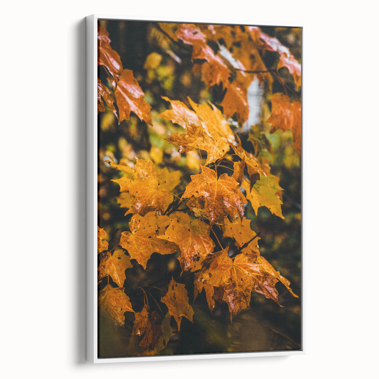 Vintage poster art depicting colorful autumn trees on a large framed canvas, ideal for living room decor.