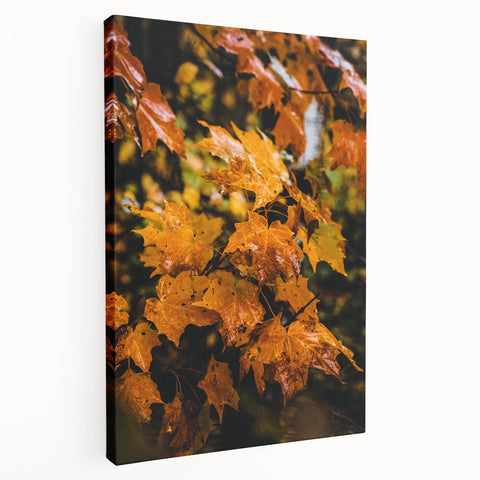 Large canvas with a fall-themed abstract design in warm orange and brown tones, suitable for kitchen wall art.