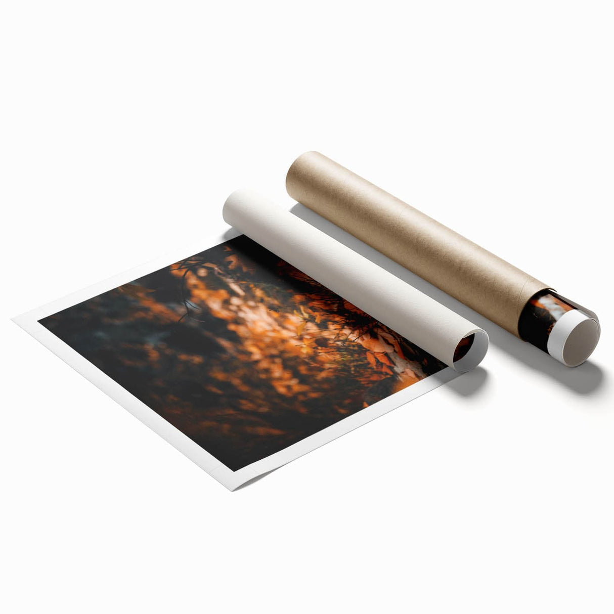 Extra large rolled print depicting vibrant fall foliage in an abstract style.
