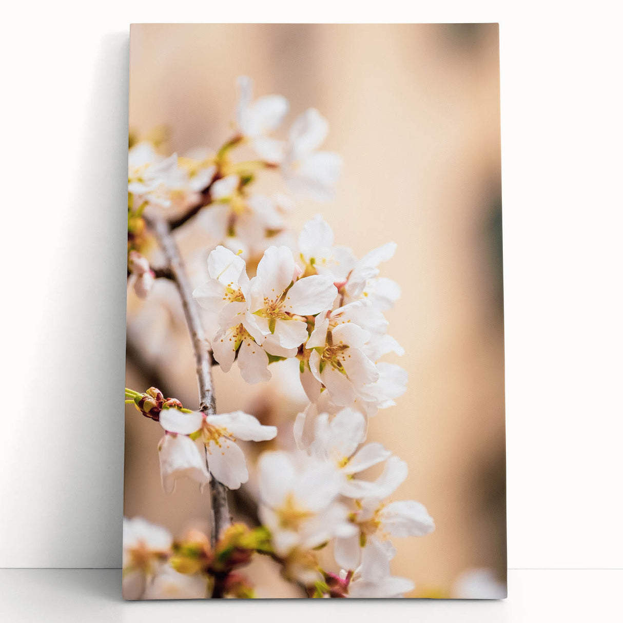 Black and white large canvas of a spring scene with trees, ideal for kitchen wall art or bedroom ambiance.