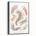 Modern Marine Wall Art – Ernst Haeckel’s "Nudibranchia" Illustration