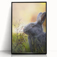 Large abstract wall art depicting spring-themed colors on a black framed acrylic, suitable for modern living room decor.