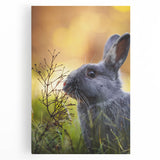 Black and white abstract depiction of spring on stretched canvas, ideal for kitchen wall art.
