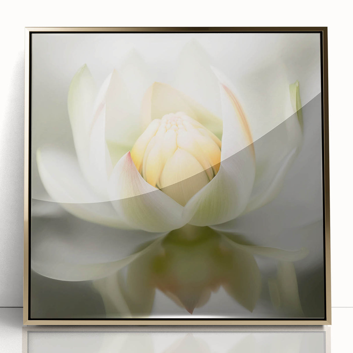 Acrylic Dining Room Artwork - Soft White Lotus Floral Print